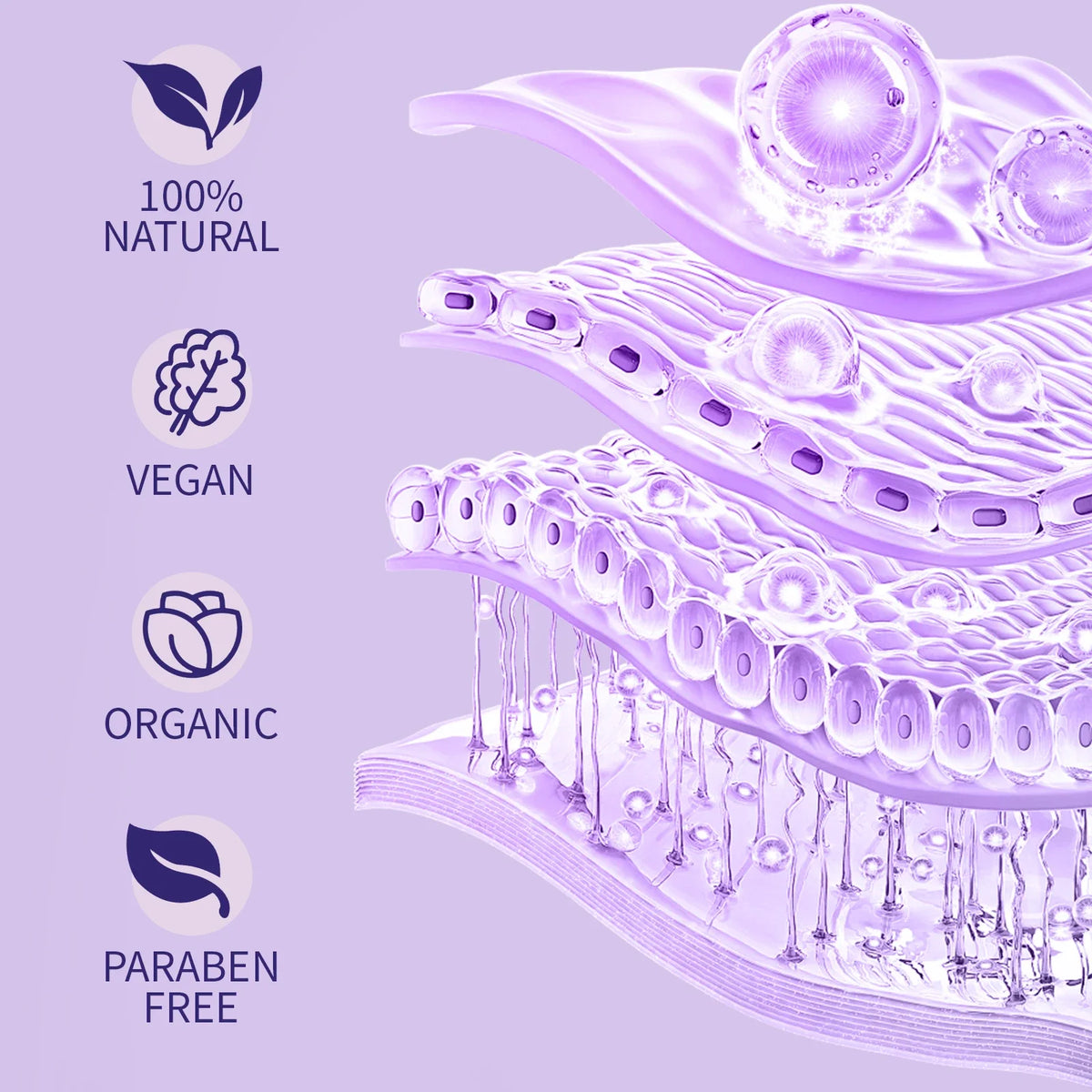 Botanical Anti-Aging Face Oil 60ml - Bakuchiol &amp; Lavender Formula, Natural Retinol Alternative for Radiant Skin.